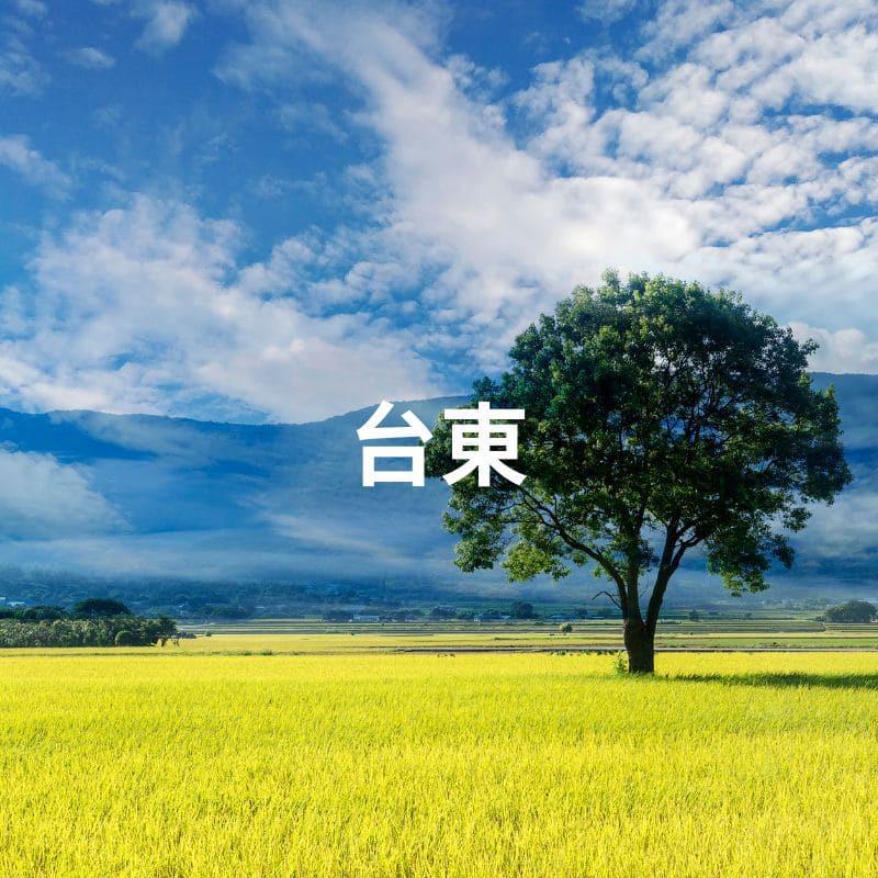 台東